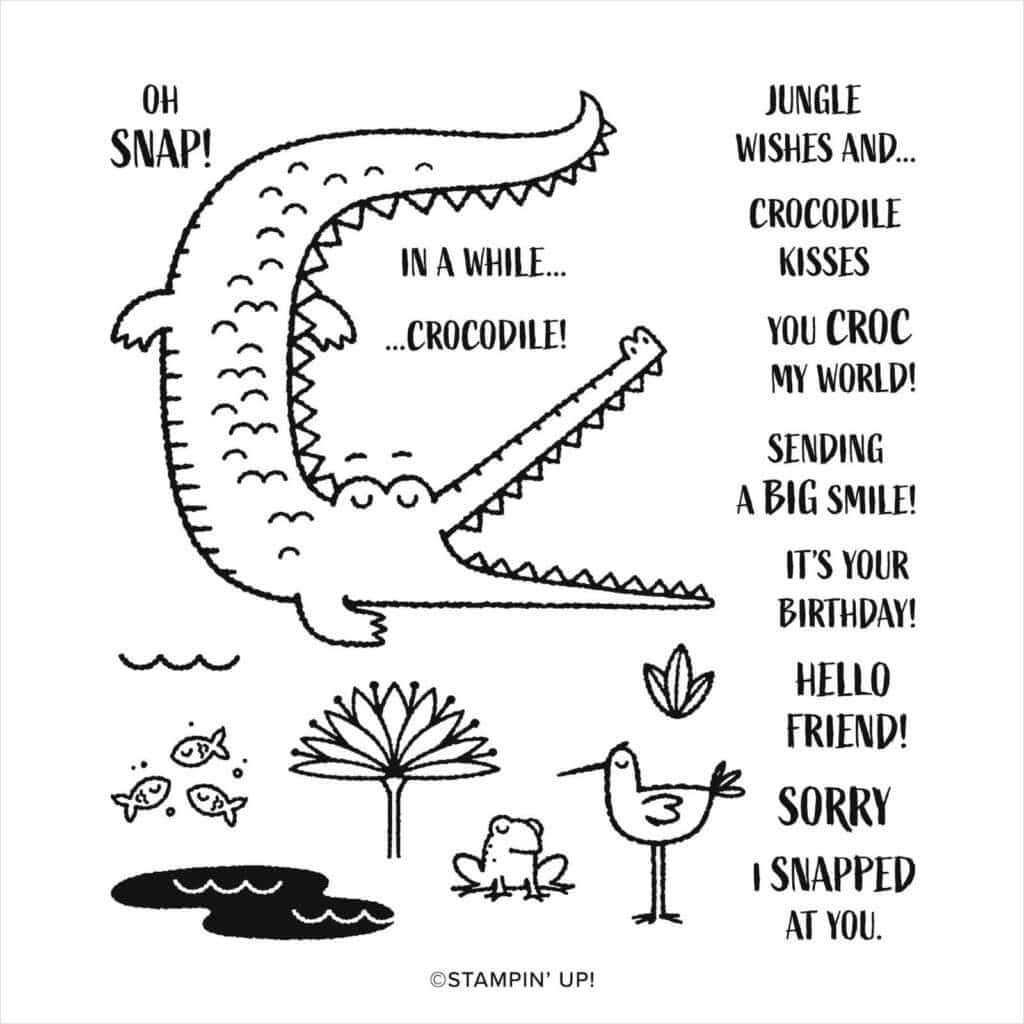 Need a Birthday Card for Teenagers? 2 Birthday Card for Teenagers with a crocodile in blues and oranges