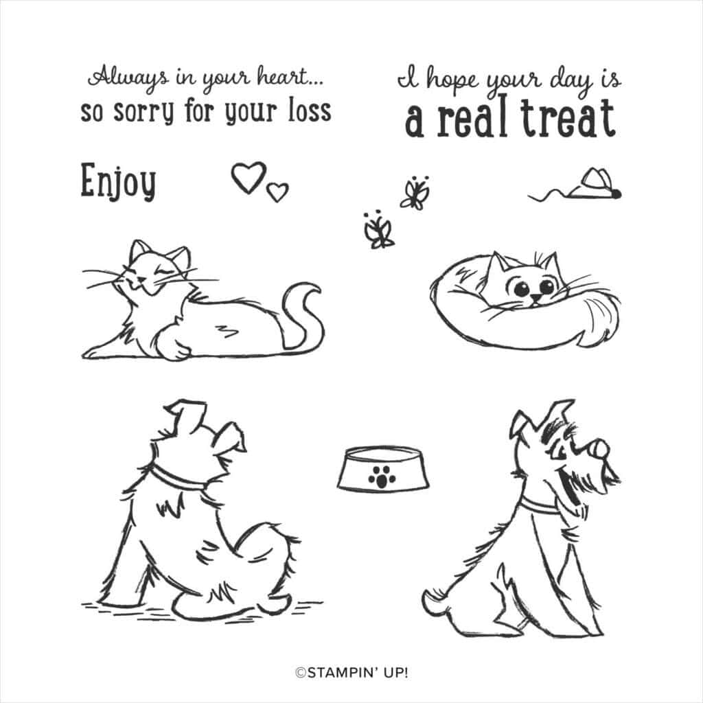 Quick Handmade Card for the Cat Lover in your Life 2 quick handmade card for the cat lover