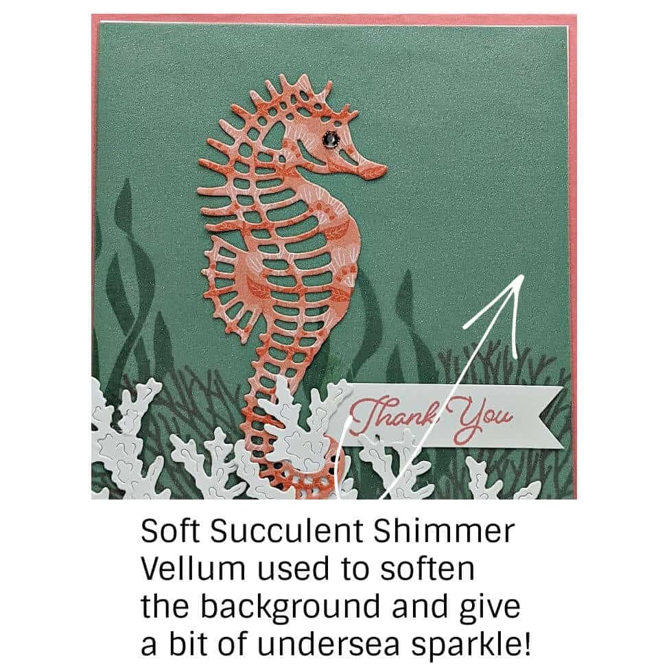 The Seascape Bundle by Stampin' Up! 2 Soft Succulent In Color Shimmer Vellum