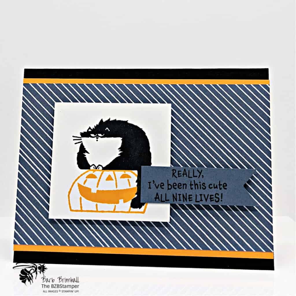 Clever Cat by Stampin' Up!