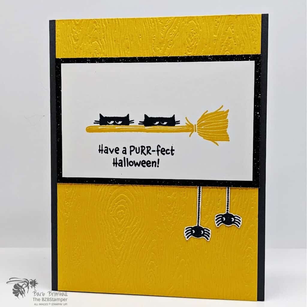 Clever Cat Stamp Set by Stamping Up For Halloween