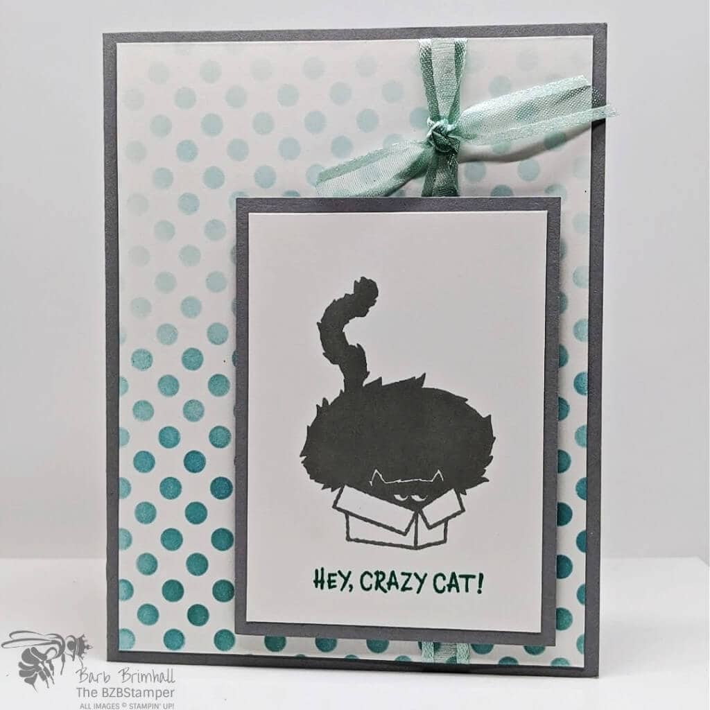 A Sweet and Simple Crazy Cat Card 1 Crazy Cat card featuring the Clever Cat Stamp Set by Stampin' Up!