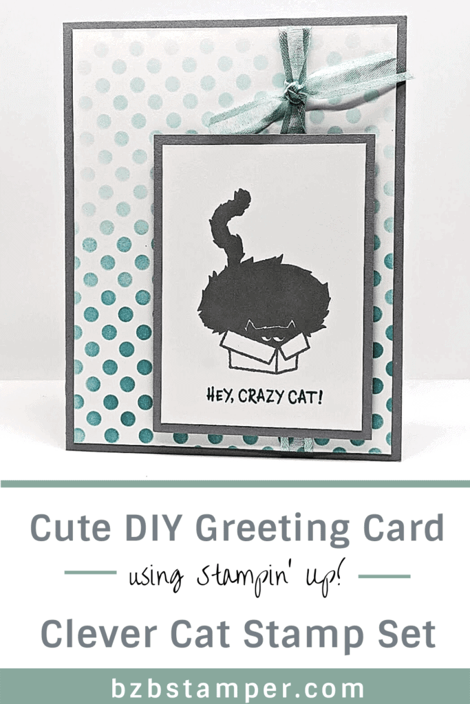A Sweet and Simple Crazy Cat Card 16 Crazy Cat card featuring the Clever Cat Stamp Set by Stampin' Up!