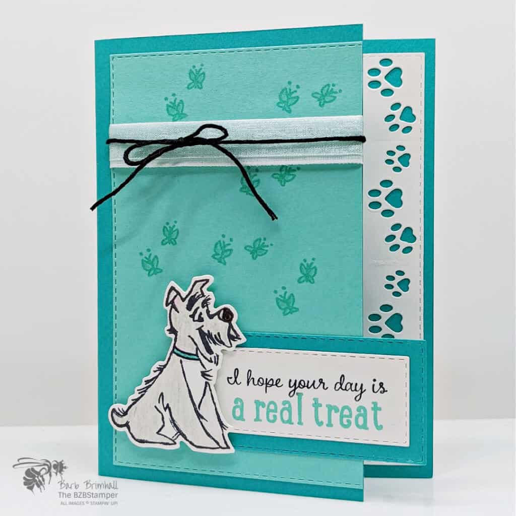 Cute Pampered Pets Handmade Greeting Card 1 Pampered Pets Bundle by Stampin' Up! in Bermuda Bay