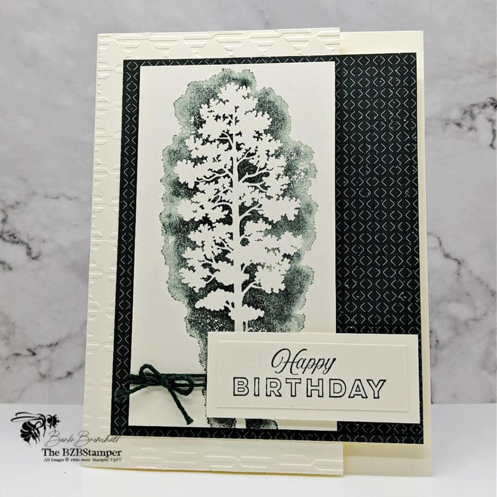 A Masculine Birthday Card that is Easy to Make 1 031622 stampin up amazing silhouettes
