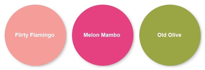 Stampin Up Colors Flirty Flamingo, Melon Mambo and Old Olive