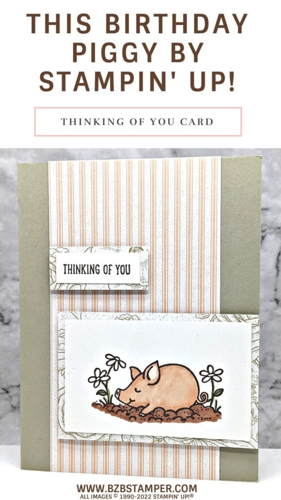 This Birthday Piggy Stamp Set 14 0606 PIn 1