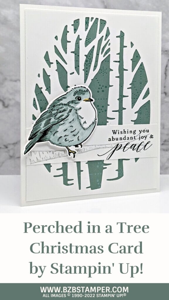 Christmas Card using the Perched In a Tree Bundle 14 Christmas card featuring bird from Perched In A Tree stamp set by Stampin' Up!