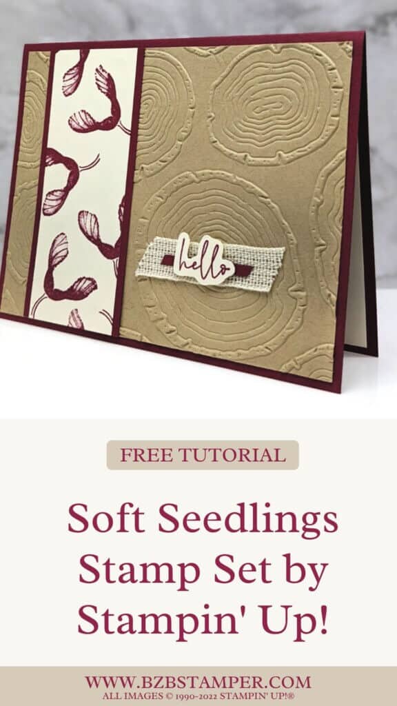 Soft Seedlings Stamp Set by Stampin' Up! 1 Soft Seedlings handmade masculine card in tan and burgundy