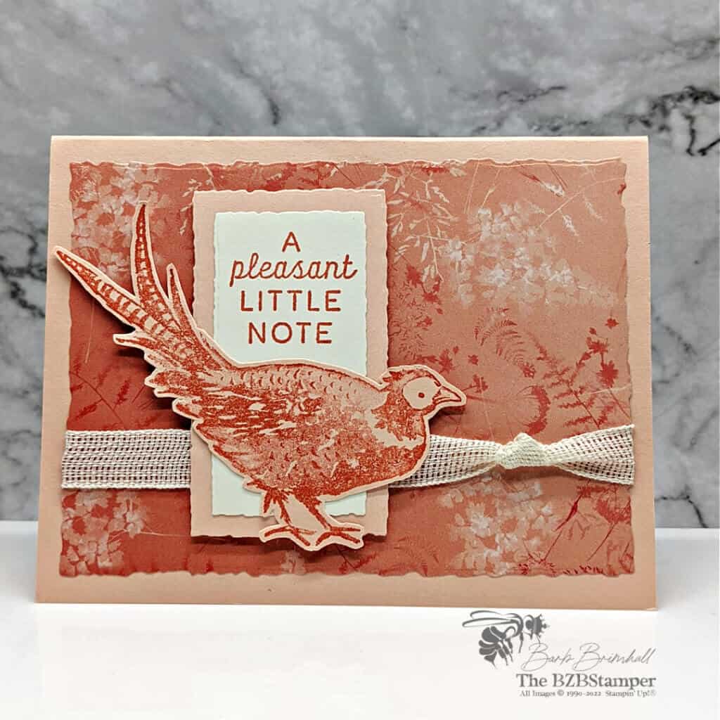 DIY Card Idea using Painted Pheasant Stamp Set 2 090822 stampin up painted pheasant petalpink
