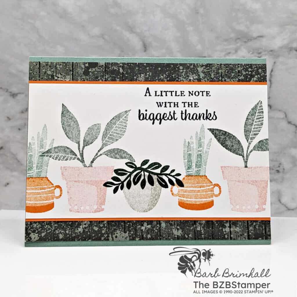 Plentiful Plants Thank You Card 3 111522 stampin up plentiful plants4