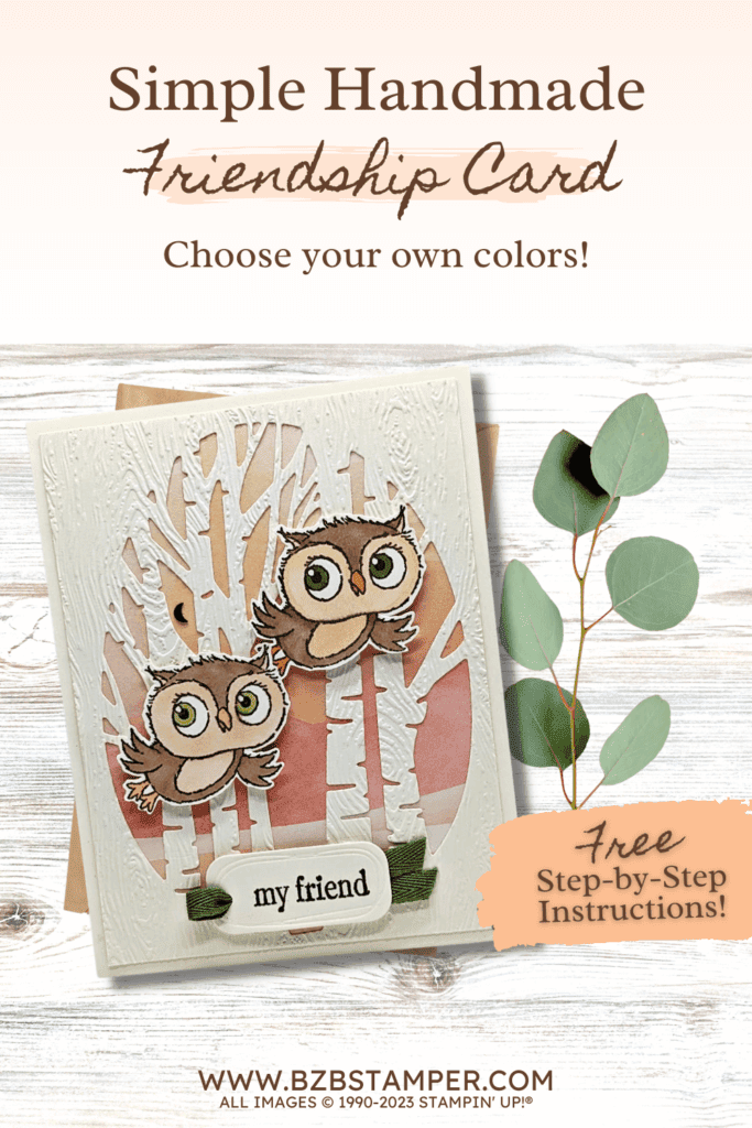 012423 adorable owls friendship pin 2
