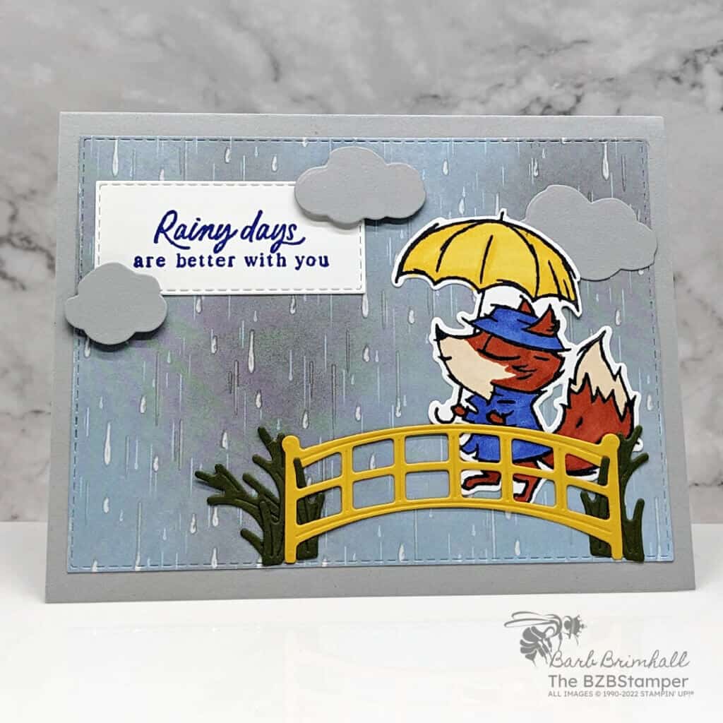 021323 playing in the rain sius