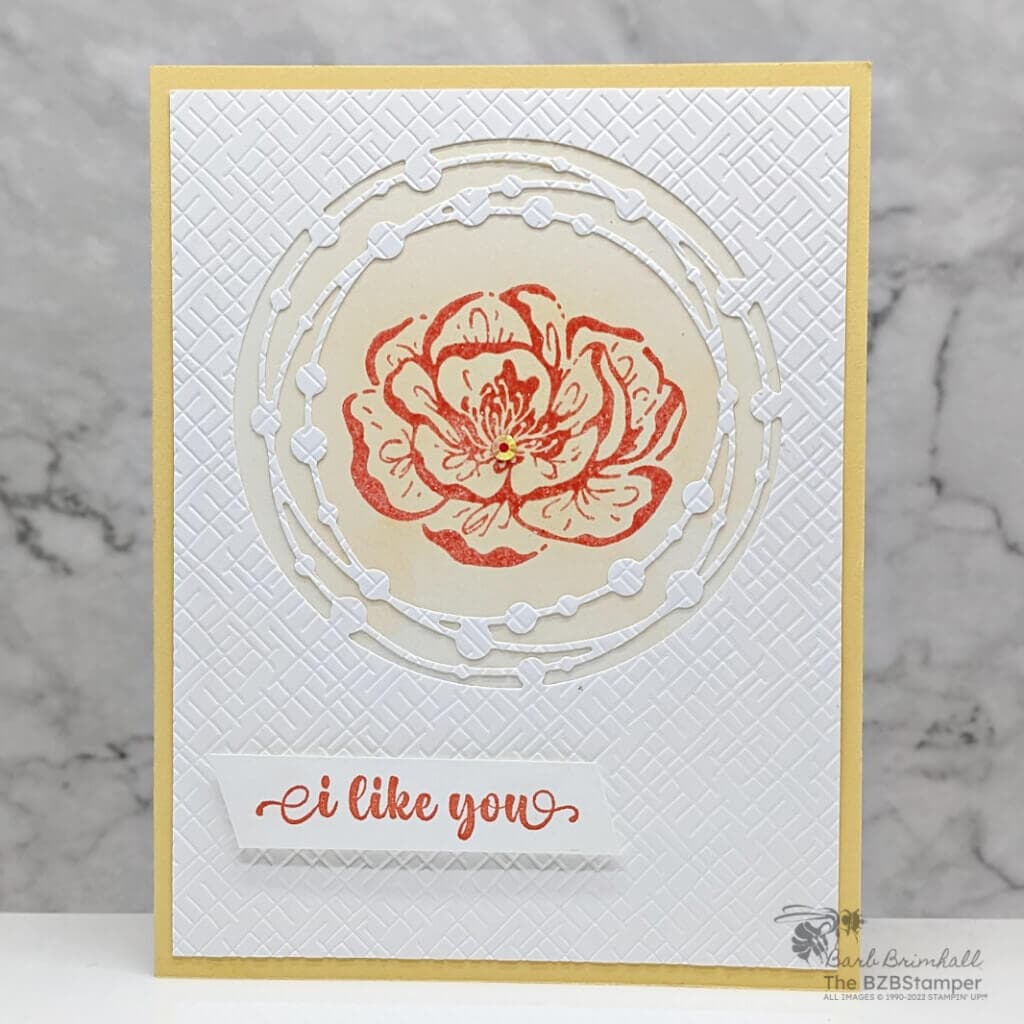 Irresistible Blooms Bundle from Stampin' Up! 2 031723 stampin up irresistible blooms