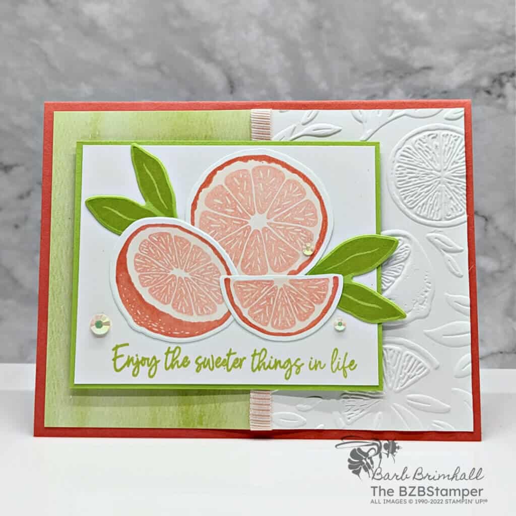 Slice Up Fun with the Sweet Citrus Stamp Set 2 052223 sweet citrus SIUS3