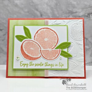Slice Up Fun with the Sweet Citrus Stamp Set 19 052223 sweet citrus SIUS3