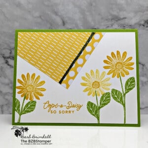061823 cheerful daisies 2