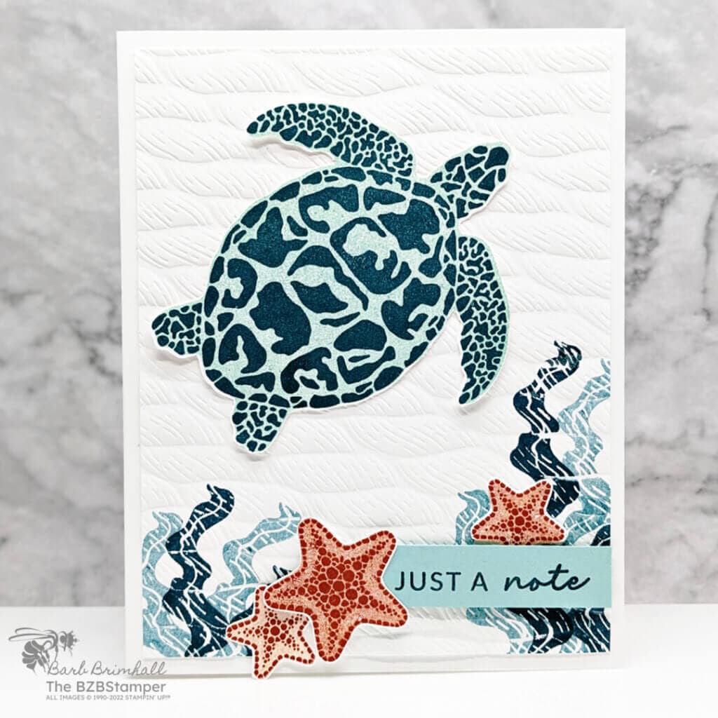 Get Creative: The Sea Turtle Stamp Set by Stampin' Up! 1 Sea Turtle Stamp Set by Stampin' Up!