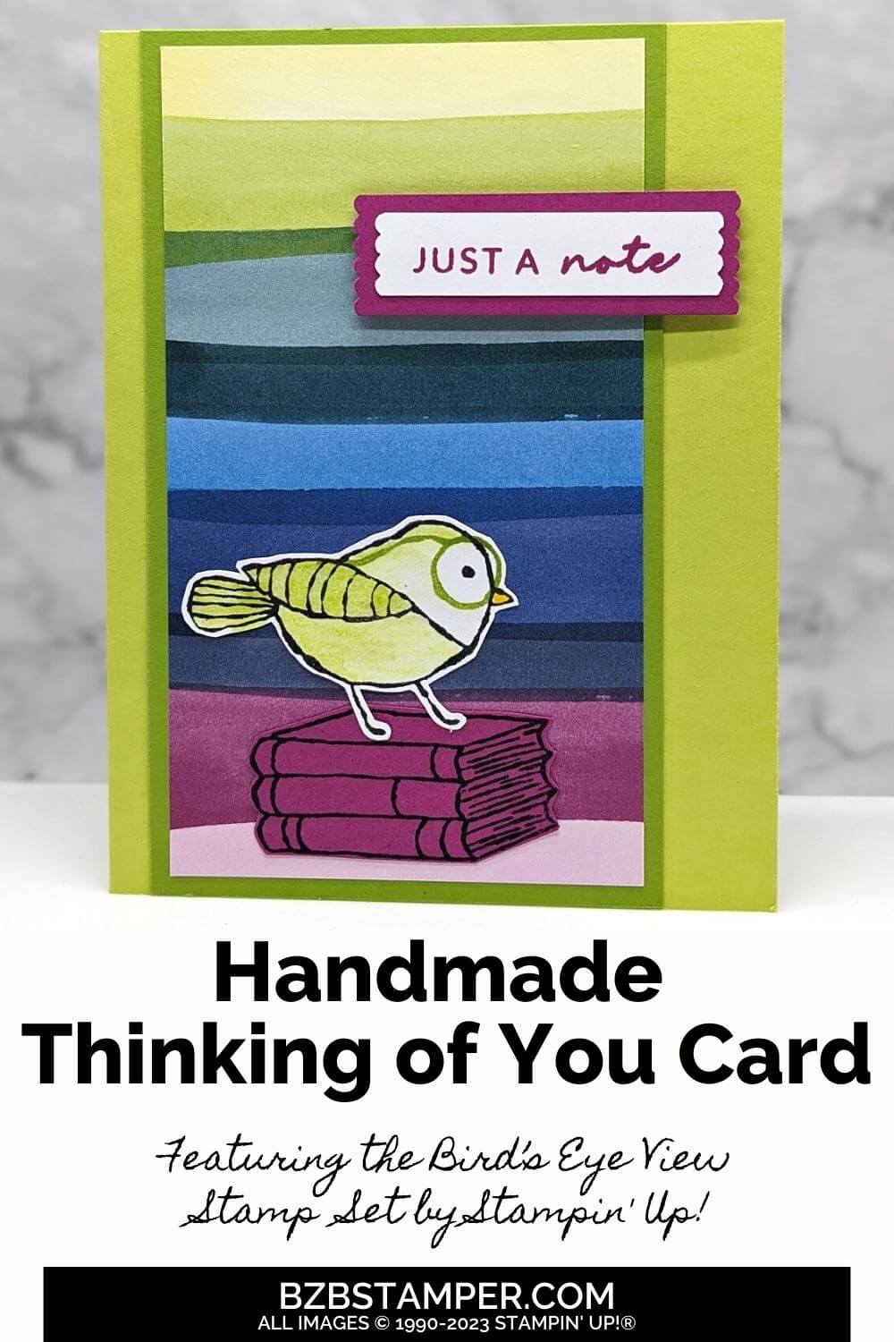 090423 stampin up birds eye view pin1