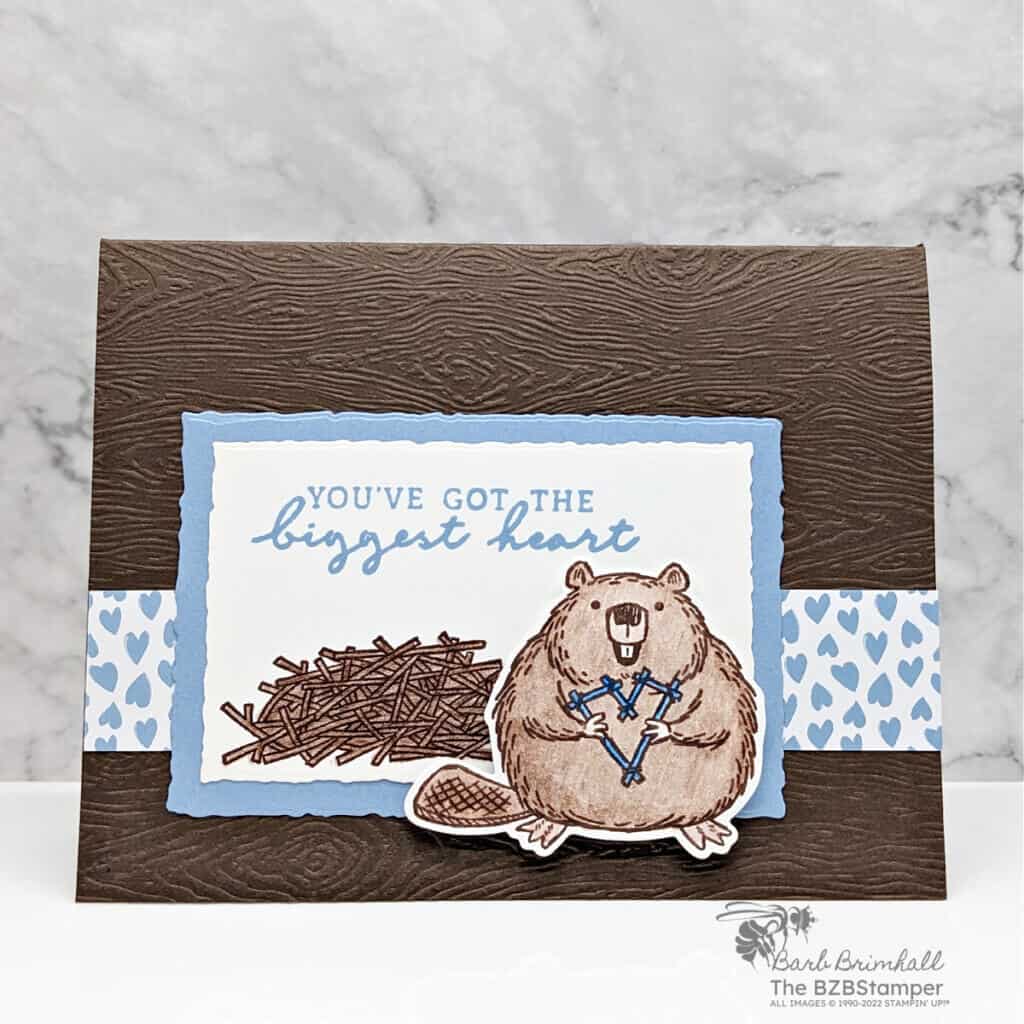 Fluffiest Friends Bundle by Stampin Up! 1 Fluffiest Friends Bundle by Stampin' Up! featuring beaver in blues and browns. Greeting is "you've got the biggest heart"