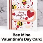 Handmade Valentine's Day Card using the Bee My Valentine Stamp Set by Stampin Up! Features pretty bee paper, red hearts, and with bee images and a Happy Valentine's Day sentiment in red ink.