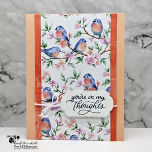 Flight and Airy Designer Paper by Stampin Up 17 Flight & Airy Designer Paper by Stampin' Up featuring pretty birds in hues of orange and coral.