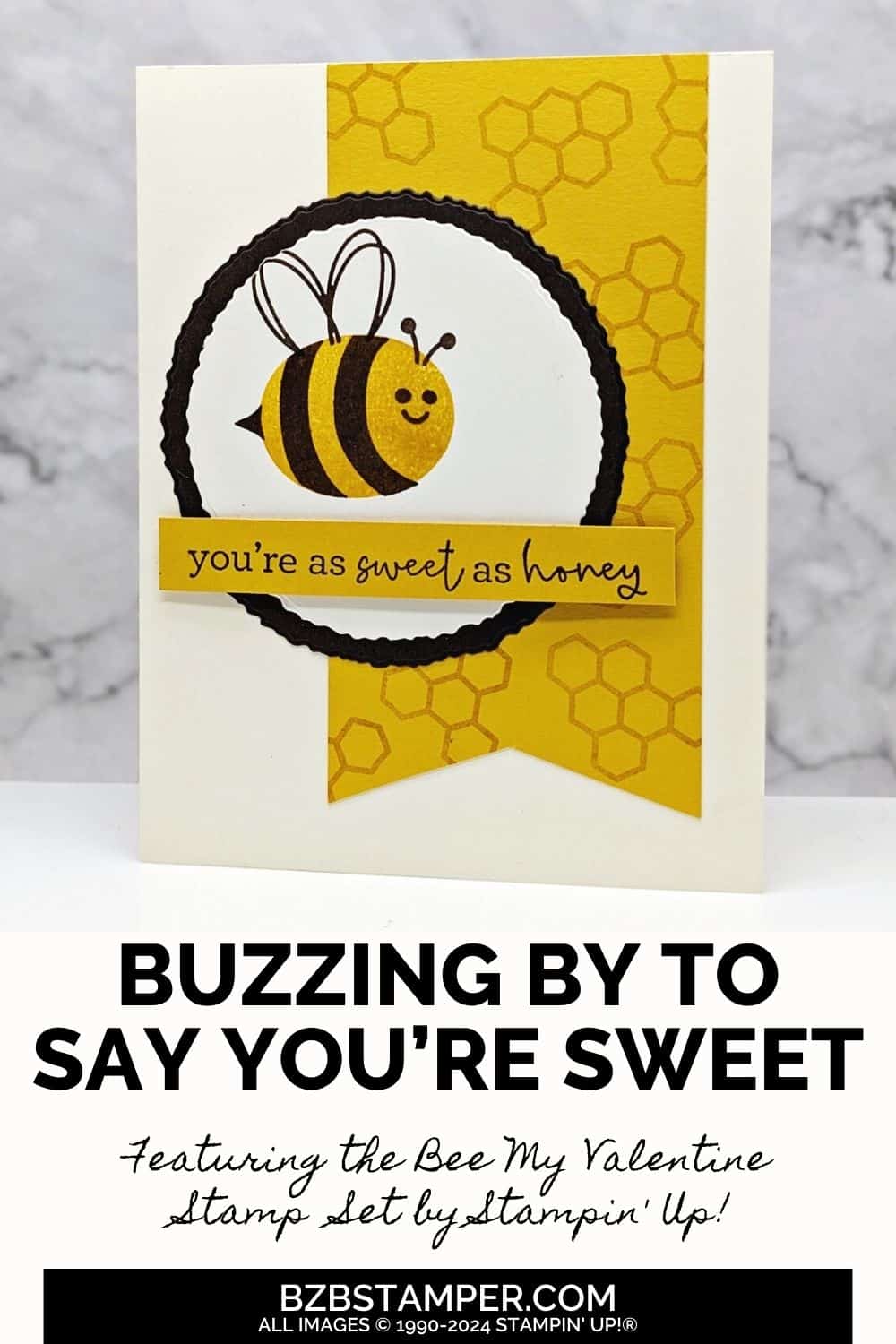 Craft a Bee-autiful Thinking of You Card 5 011424 stampin up bee my valentine pin1