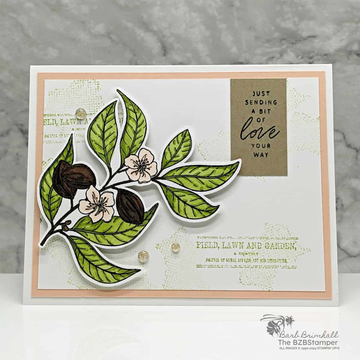 Lovely and Sweet Bundle by Stampin Up 1 Lovely and Sweet Bundle by Stampin Up in greens, pinks and browns. Features a die-cut flowers with a collage feel.
