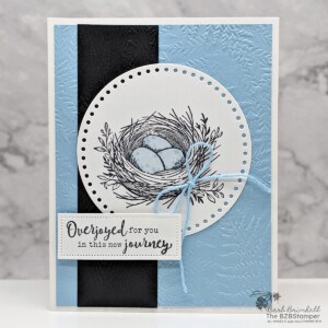 Baby Card using the Everyday Details Stamp Set 20 030624 everyday details 2