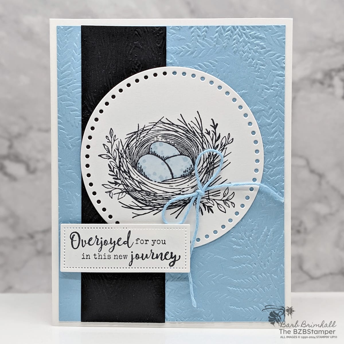 Baby Card using the Everyday Details Stamp Set 1 Baby Card using the Everyday Details Stamp Set featuring a nest with blue eggs, blue background and a sentiment of "overjoyed for you in this new journey."