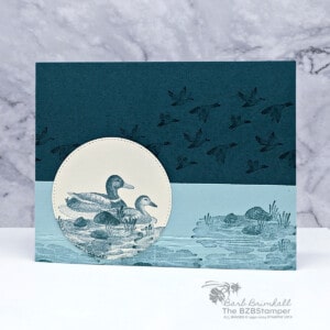 Feathered Flight Stamp Set 20 031024 feathered friend1
