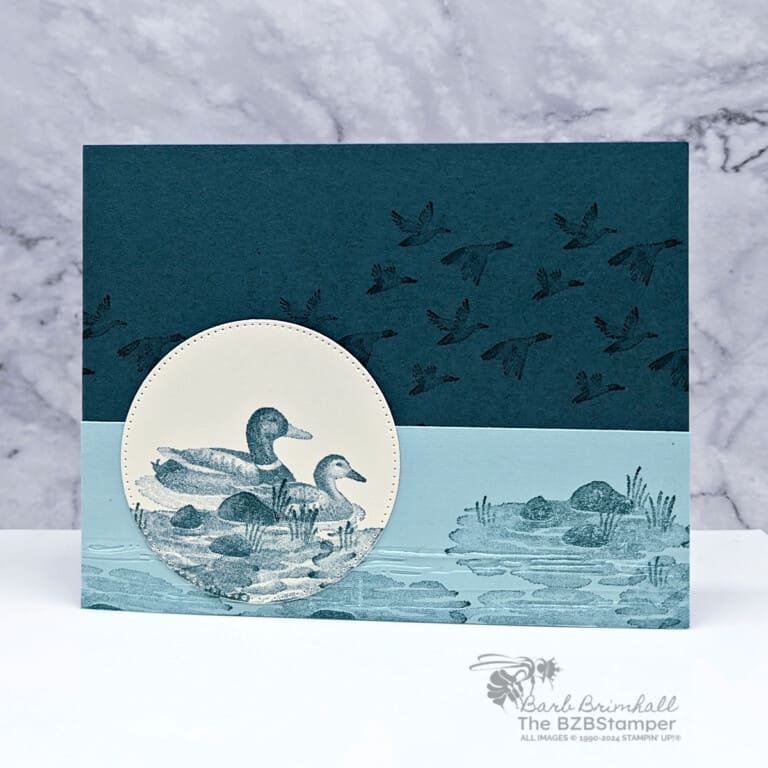 Feathered Flight Stamp Set