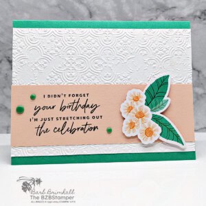Belated Birthday Card Using Something Fancy Stamps 19 052924 stampin up something fancy 1