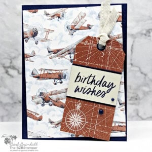 Take to the Sky Designer Paper 20 053124 stampin up simply said 1