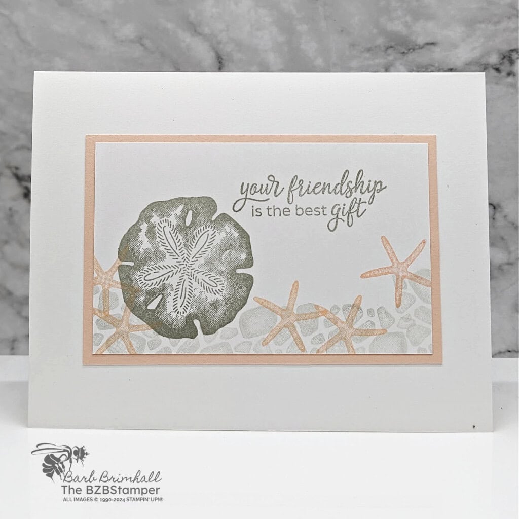 3 Cards using the Seaside Wishes Stamp Set 2 060424 seaside wishes sius bb