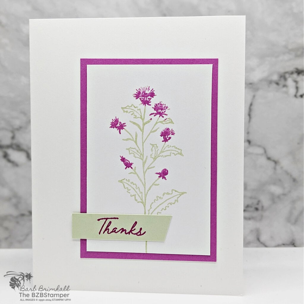 3 Cards using the Thoughtful Wishes Bundle 2 061824 thoughtful wishes sius bb