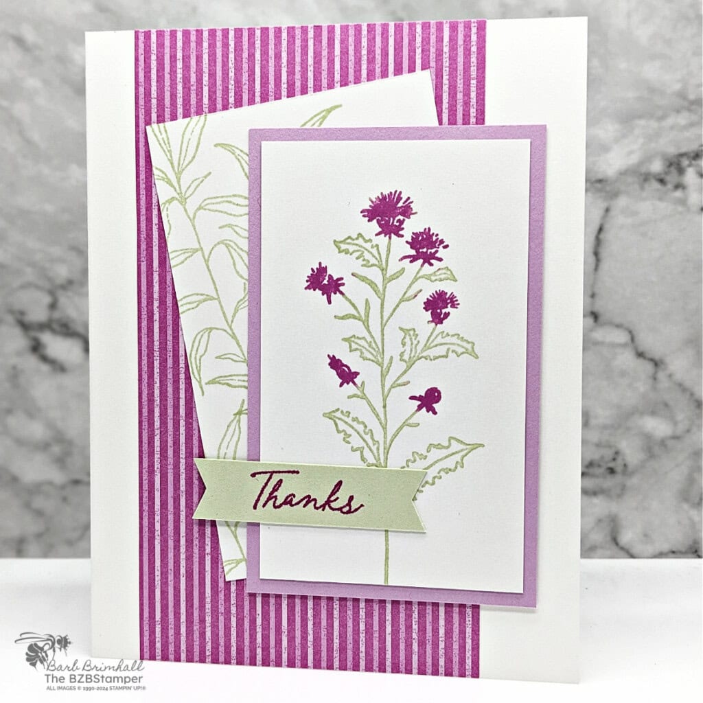 3 Cards using the Thoughtful Wishes Bundle 3 061824 thoughtful wishes sius wb