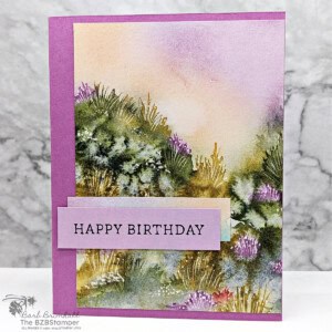 5 Minute Birthday Card Using Card Sketch 4 17 062024 simply said card sketch 4