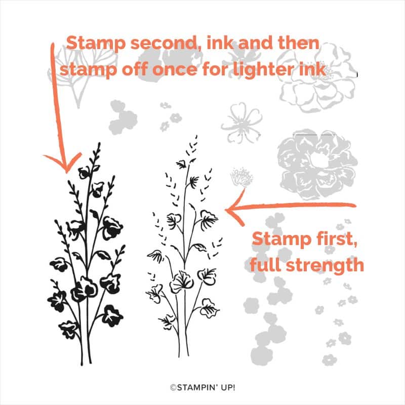 Peaceful Expressions with the Flowers of Beauty Stamp Set 4 163374o01