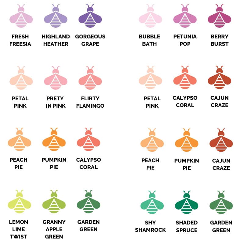 Color Buddies 1