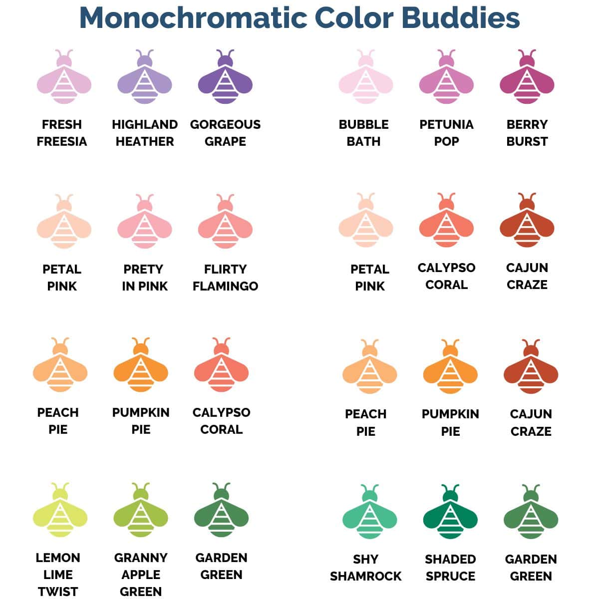 color buddies 800x800 1200 x 1200