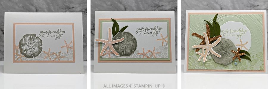 3 Cards using the Seaside Wishes Stamp Set 1 060424 Seaside Wishes1 SIUS