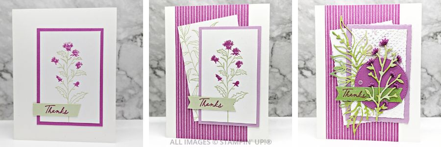 3 Cards using the Thoughtful Wishes Bundle 1 061824 Thoughtful Wishes SIUS