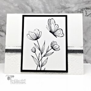 3 Cards using the Spotlight On Nature Bundle 19 071424 spotlight on nature sius wb