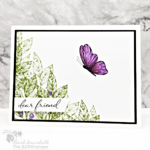 Friendship Cards with Spotlight on Nature Stamp Set 20 072824 stampin up spotlight on nature 5