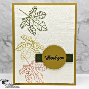3 Cards using the Changing Leaves Stamp Set 35 080524 changing leaves stamp set sius