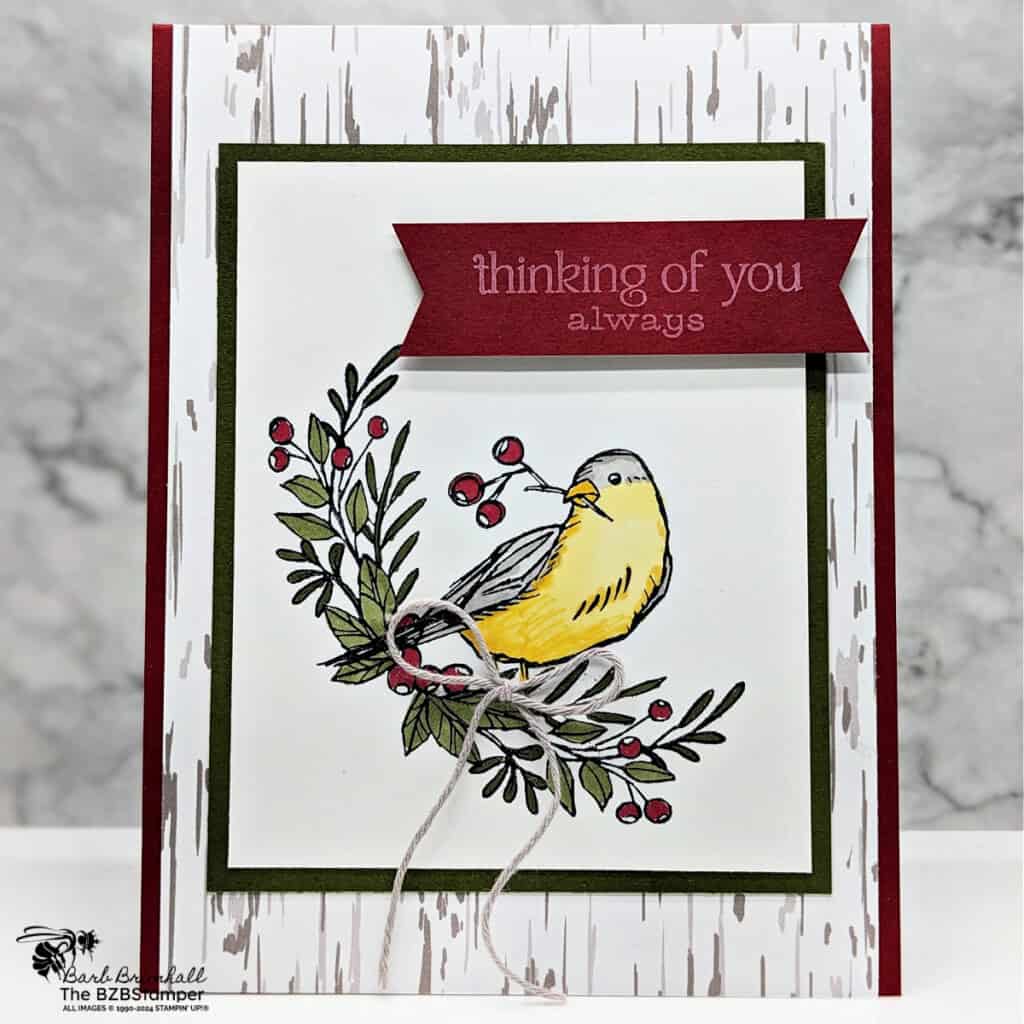 3 Cards using the Wintery Tree Tops Stamp Set 3 082524 wintery tree tops 2 step it up stamping 2wb