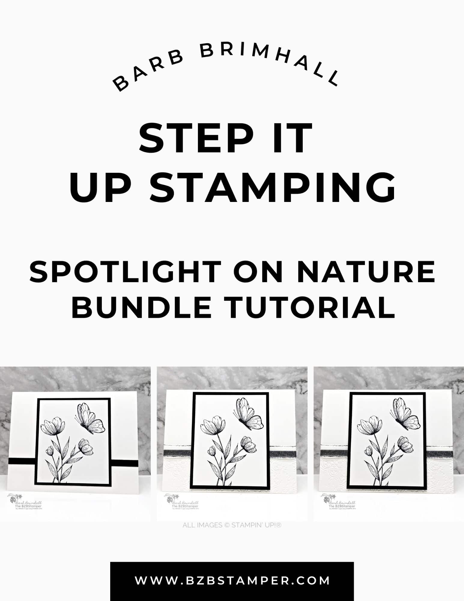 Spotlight on Nature Step It Up Stamping Instructions 1 Spotlight on Nature Step It Up Stamping Instructions