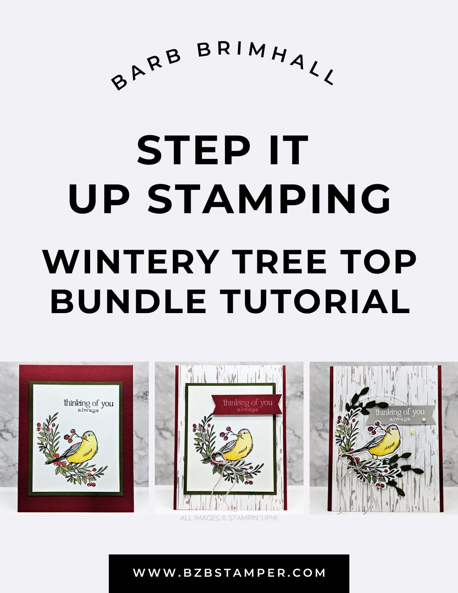 Wintery Tree Tops 2 Step It Up Stamping Instructions 1 Wintery Tree Tops 2 Step It Up Stamping Instructions