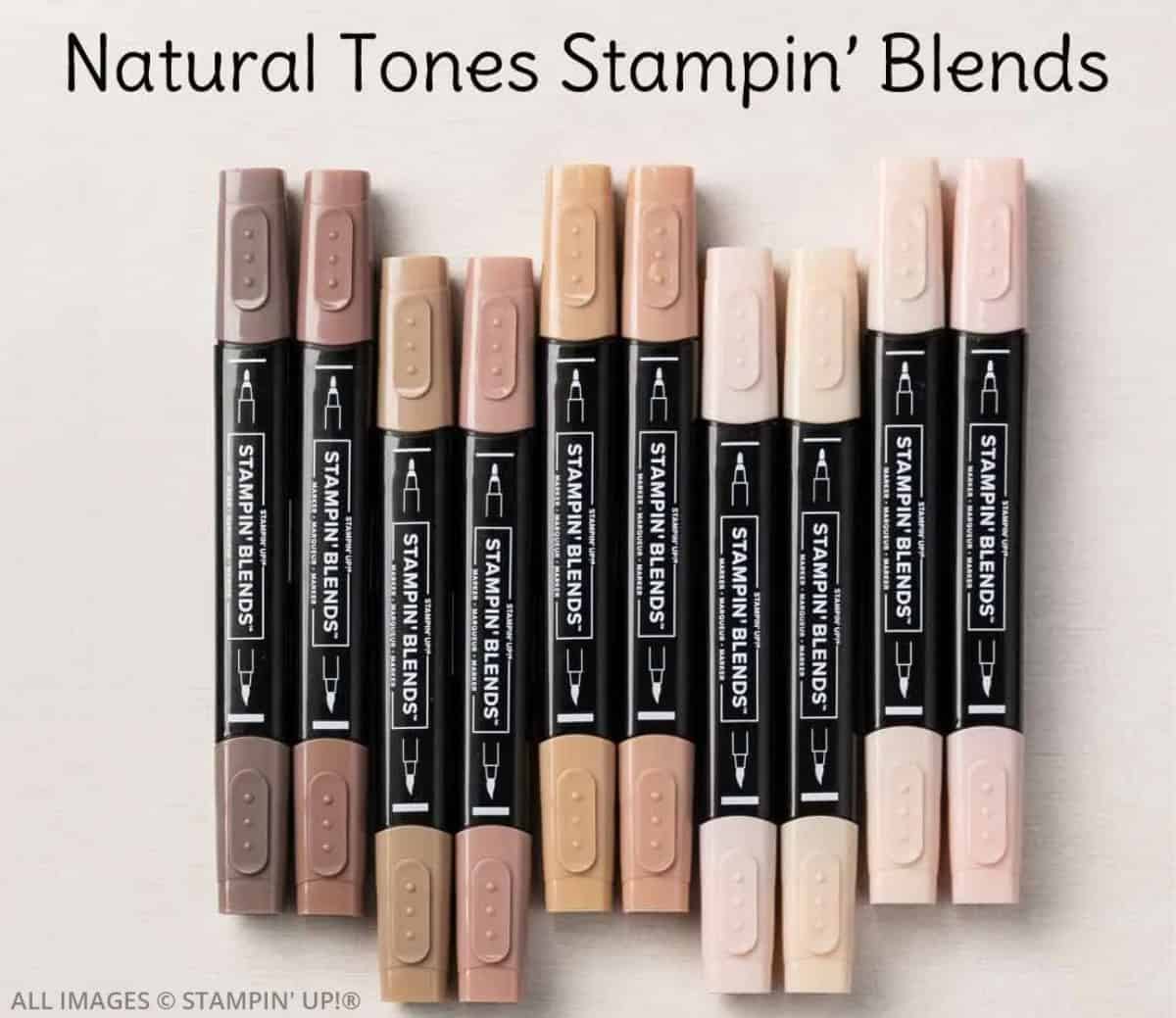 Unlock the Magic of Stampin' Blends Markers 5 Unlock the Magic of Stampin' Blends Markers. Explore tips, techniques, and inspiration for using Stampin' Up! alcohol markers to elevate your crafting.